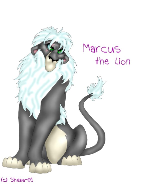 Marcus as a lion