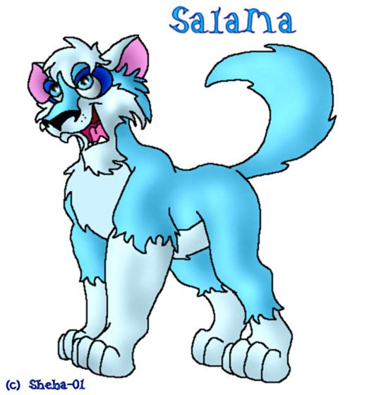 Salama