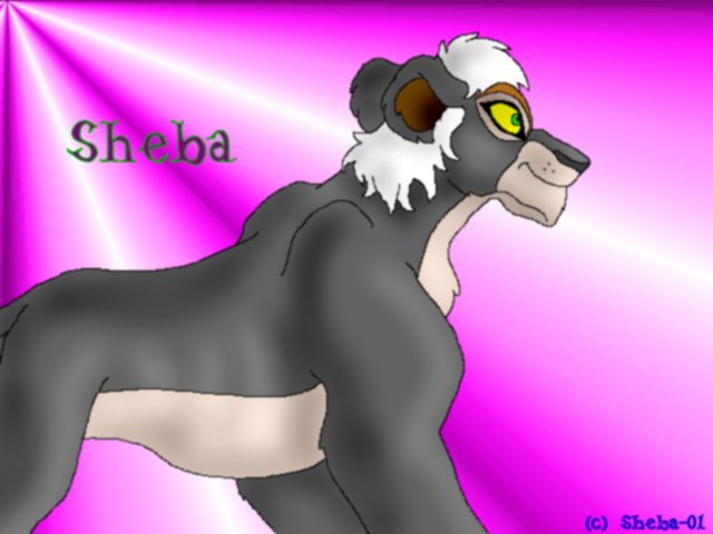 Adult Sheba-lion