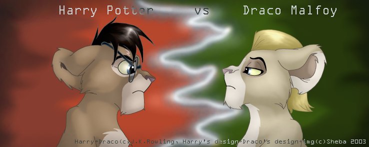 Harry VS Draco