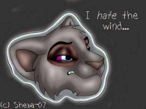'I Hate the Wind...'