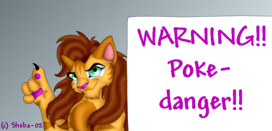 Poke-Danger ! !