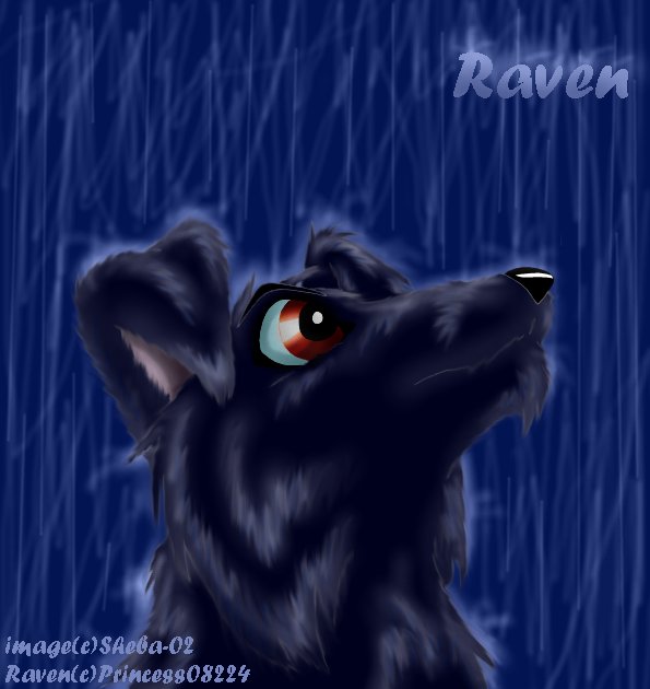 Raven