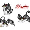 Blackie Chart