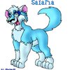 Salama