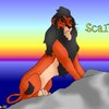 Scar... again...