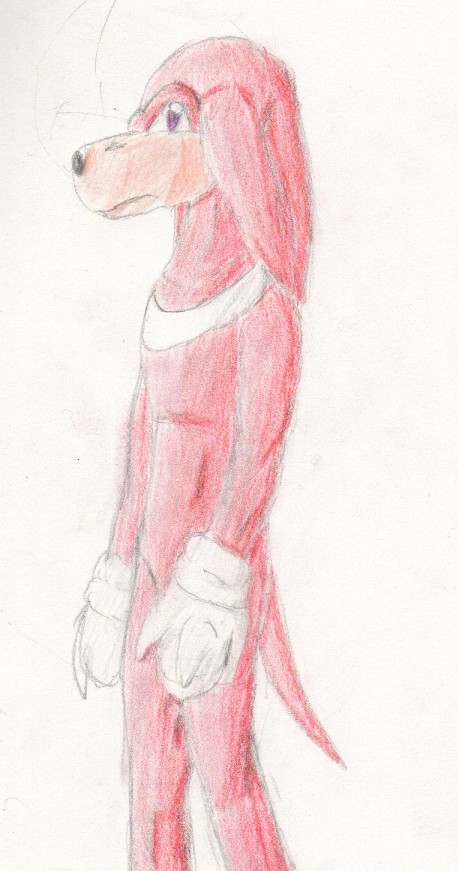 Another Knux pic