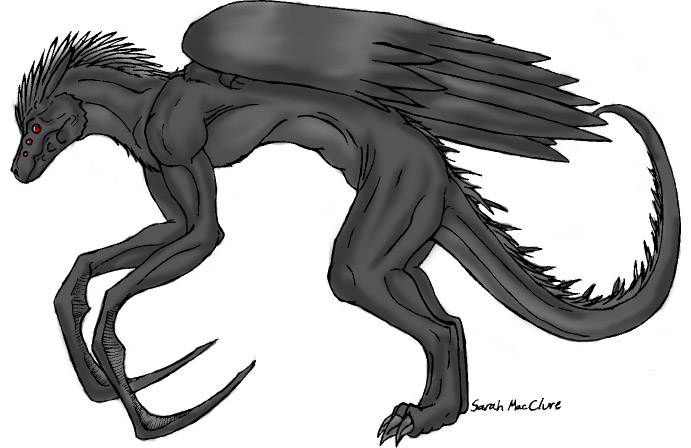 Crowe dragon