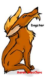 dogster