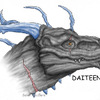 Daiteen head