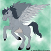 Grey Pegasus