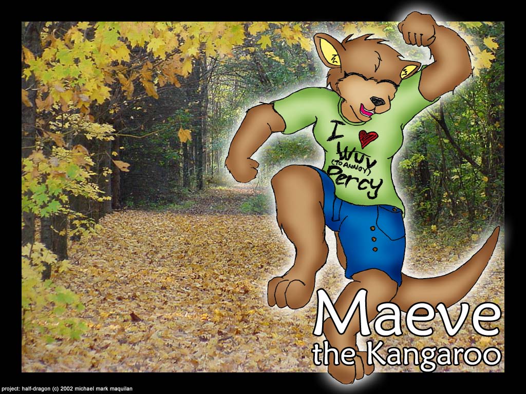 Maeve the Kangaroo