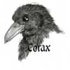 Corax, the Corvid