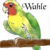 Wahle!