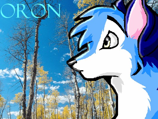 Head view of my char. Oron