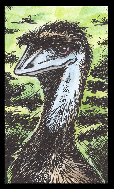 Mountain Emu of Doom