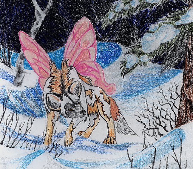 Flutterdog in the Snow