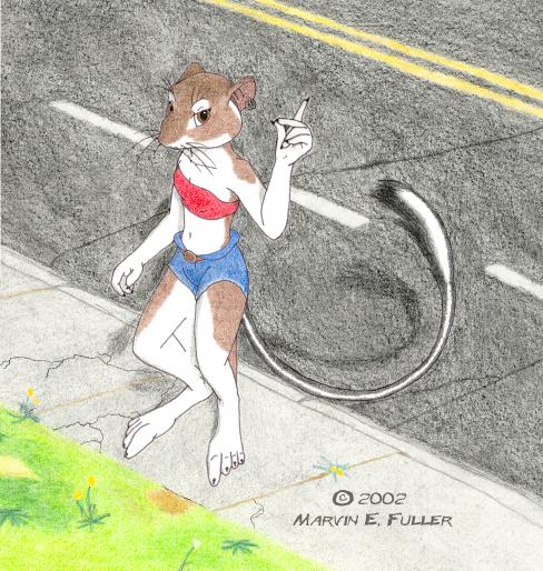 Kangaroo Rat on the Sidewalk