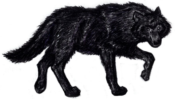 Lestat the Wolf