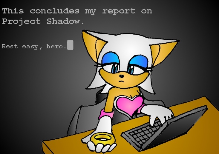 Rouge's Final Report