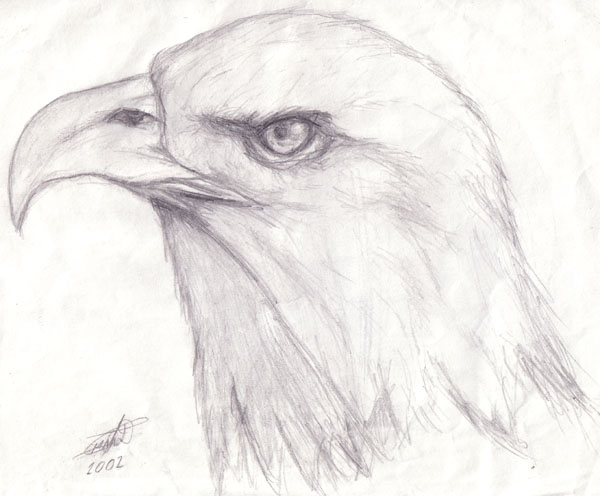 Eagle