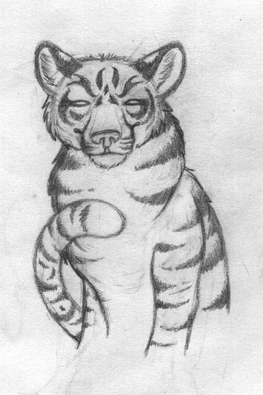 Tiger Doodle