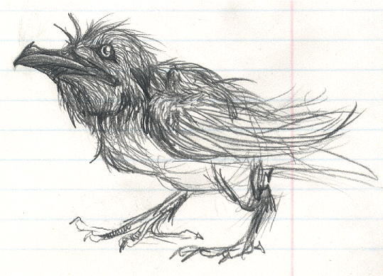 A crow... bird... thing.