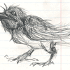 A crow... bird... thing.