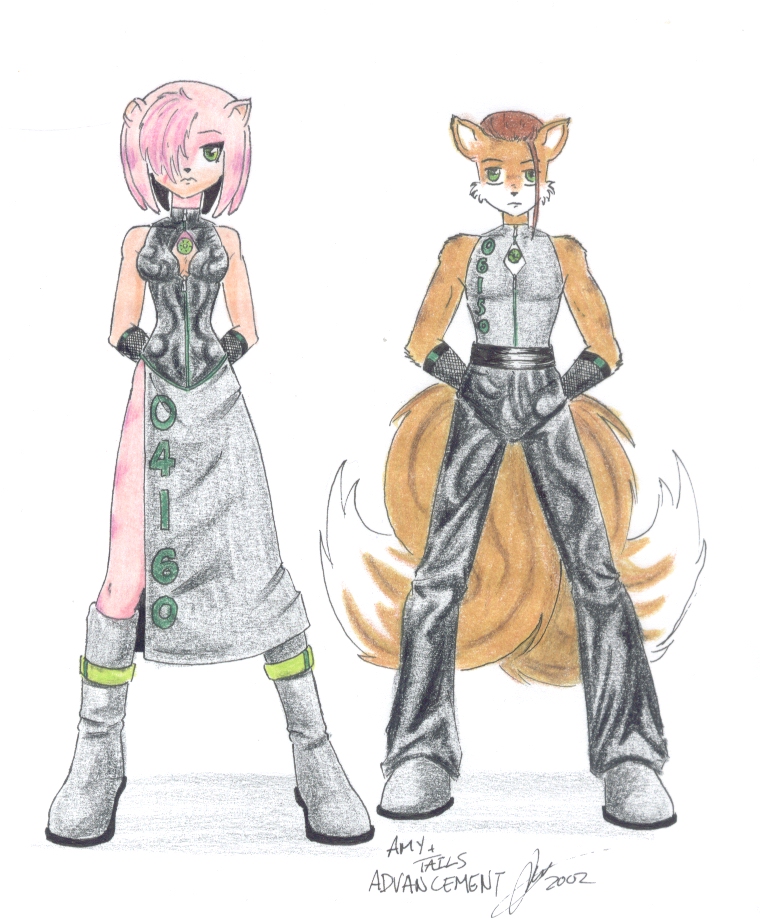 Agents 04160 and 06150: Amy Rose and Tails Proers