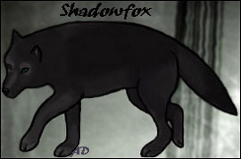 Shadowfox