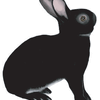 Rabbit Drawn in Computer Graphics