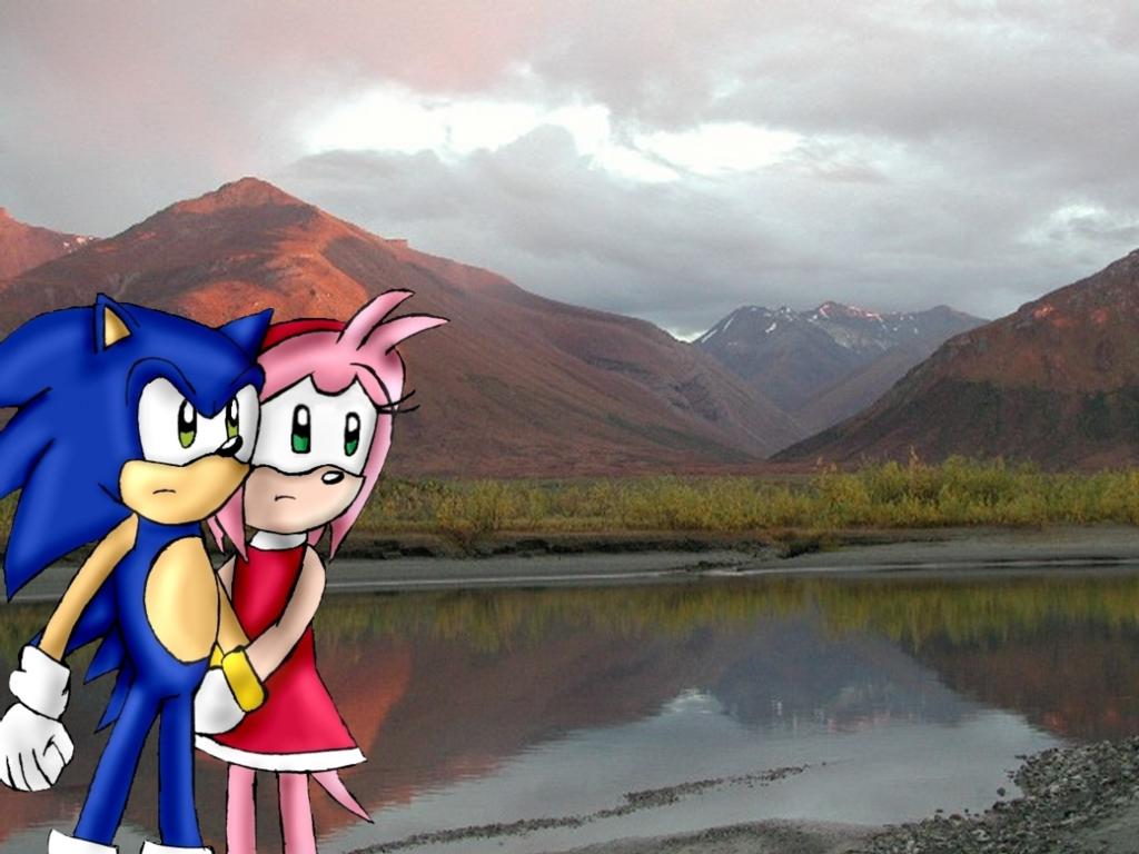Protect me Sonic