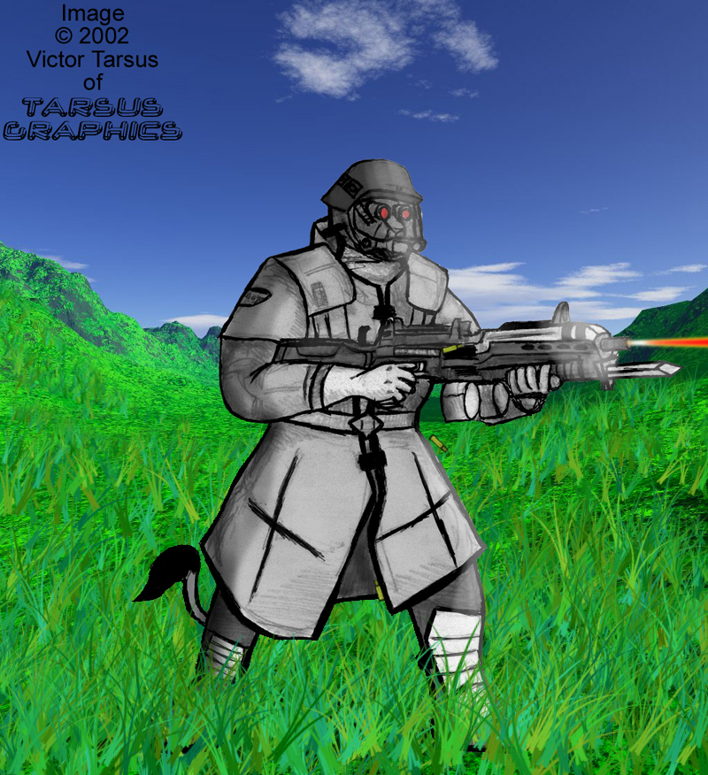 RIAF Trooper In A Field