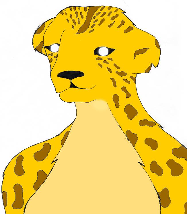 Cheeta Colored