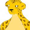 Cheeta Colored