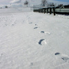 Footprints