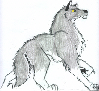 Rage as a wolfie ^^