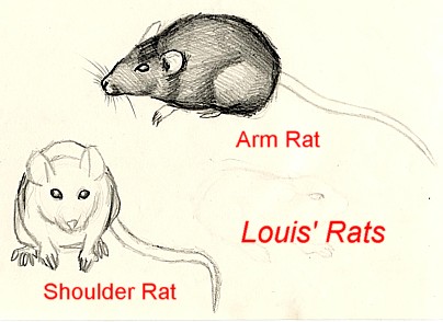 Louis' rats