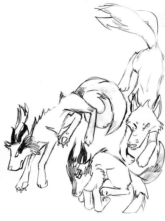 Two-Tailed Wolves