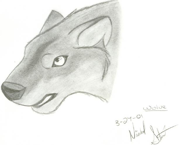 shaded wolf