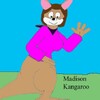 Madison the Kangaroo