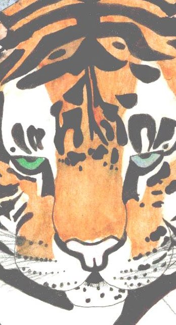 val tiger cropped