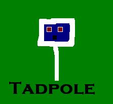 Tadpole