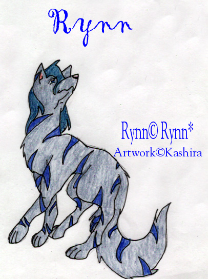 Rynn, Character sheet