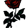 Rose-Art! ha ha I  made a funny