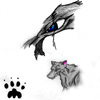 Wolves..A look through their eyes