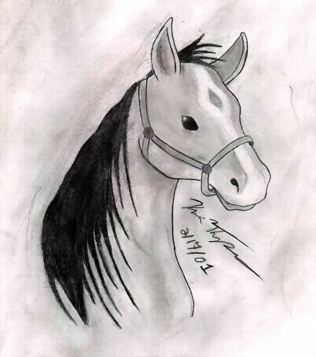 Horse