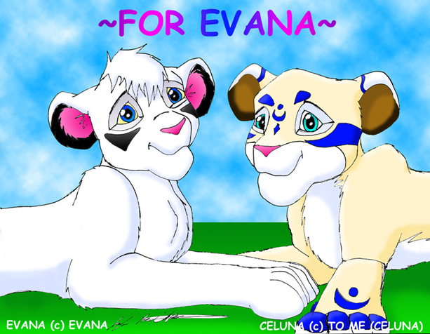 Gift for Evana