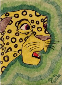 Kala the leopardess