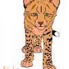King Cheetah Cub